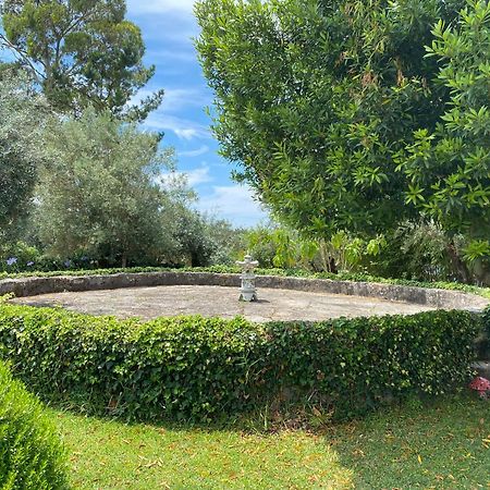 Casa Da Eira - Villas De Campo Ferreira do Zêzere Εξωτερικό φωτογραφία